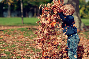 Creating a Boy-Friendly Elementary School