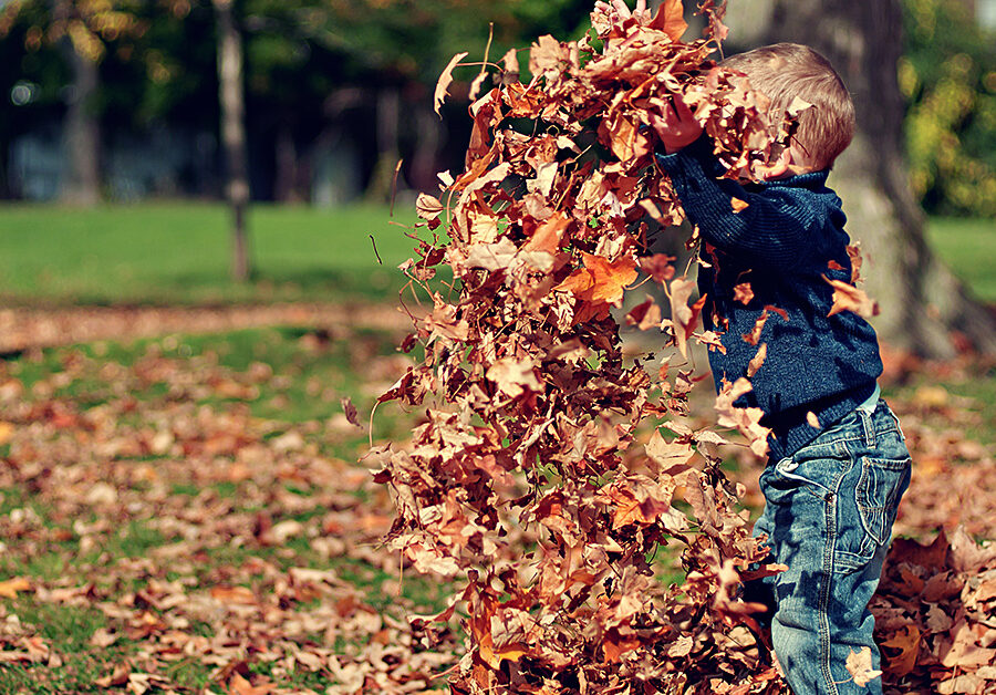 Creating a Boy-Friendly Elementary School